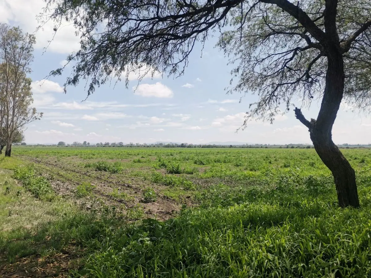 Terreno en venta en Pedro Escobedo — foto 4