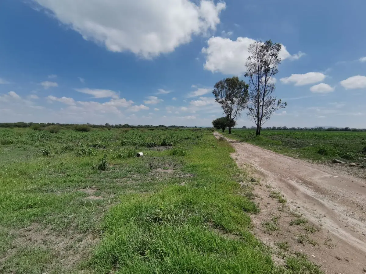 Terreno en venta en Pedro Escobedo — foto 6