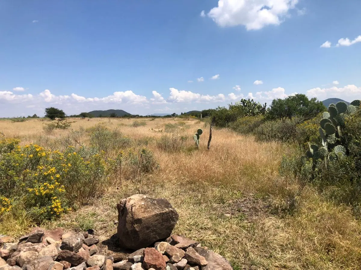 Terreno de oportunidad 6 hectareas — foto 4