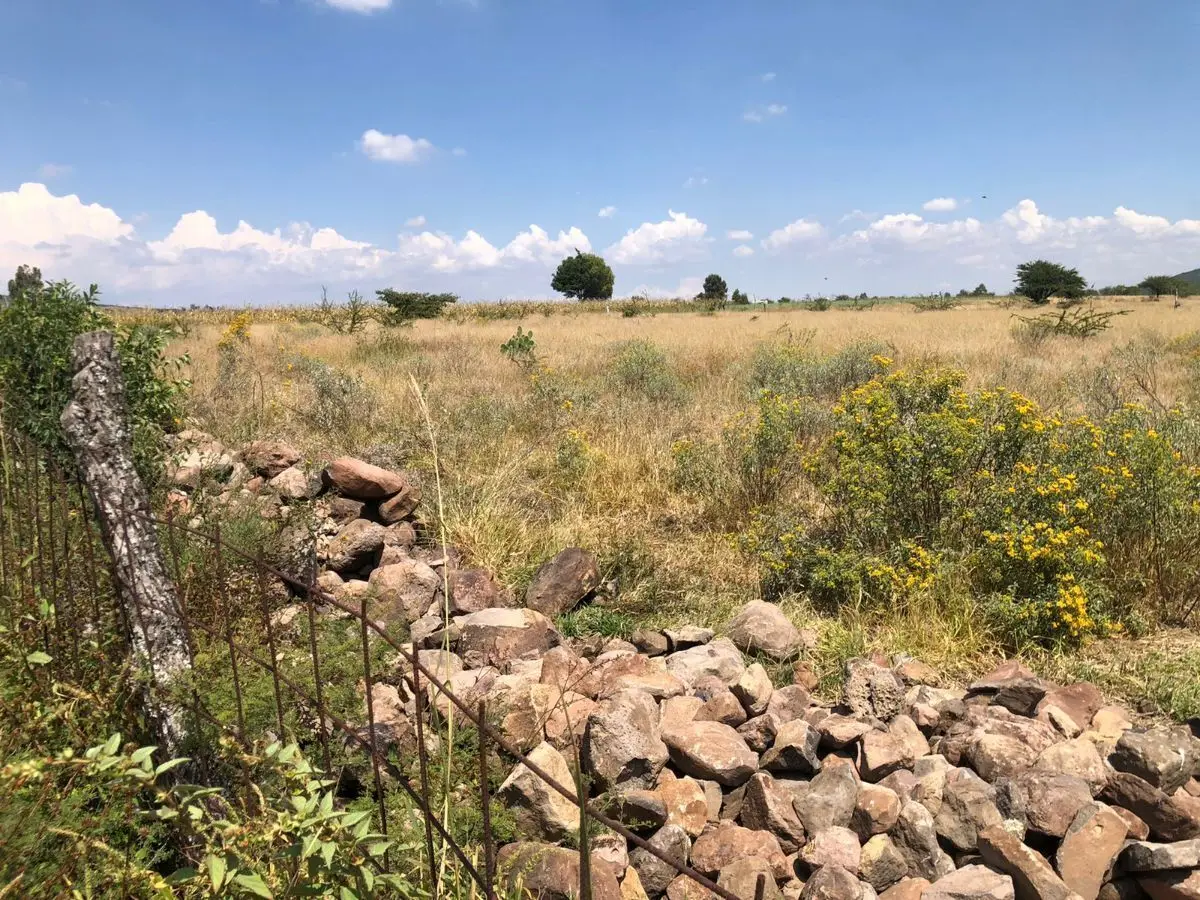 Terreno de oportunidad 6 hectareas — foto 5