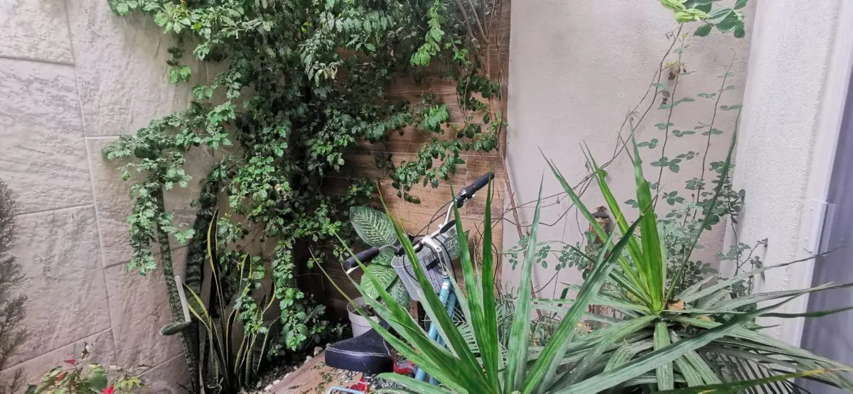 Casa en Venta Puertas de San Miguel — foto 4