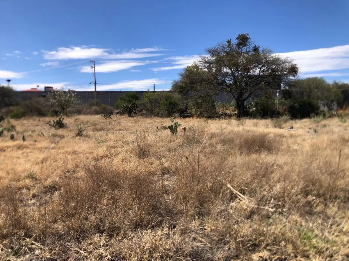 Terreno en El Rosario — foto 5