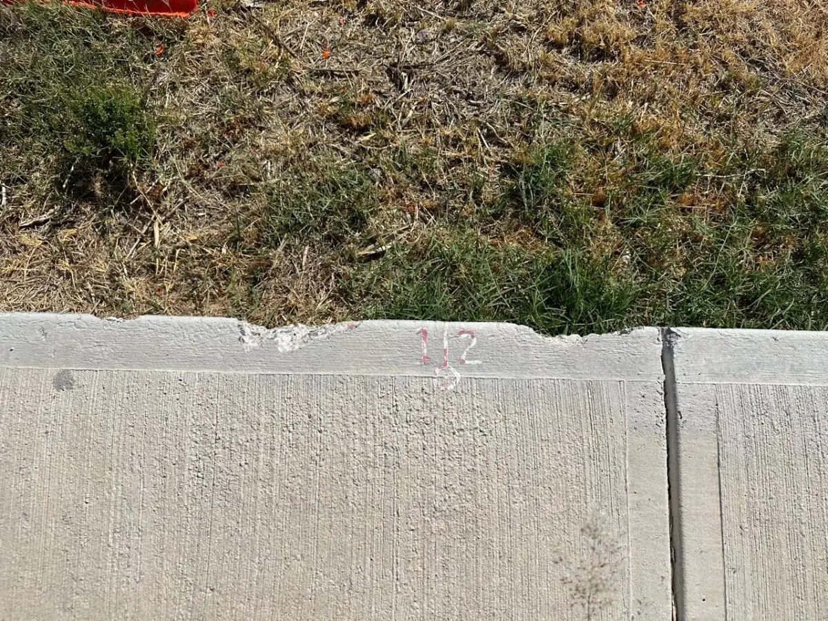 Terreno en El Encino — foto 4