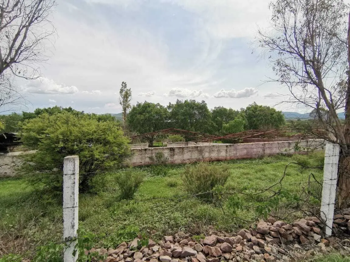 Terreno rural con construcción — foto 5