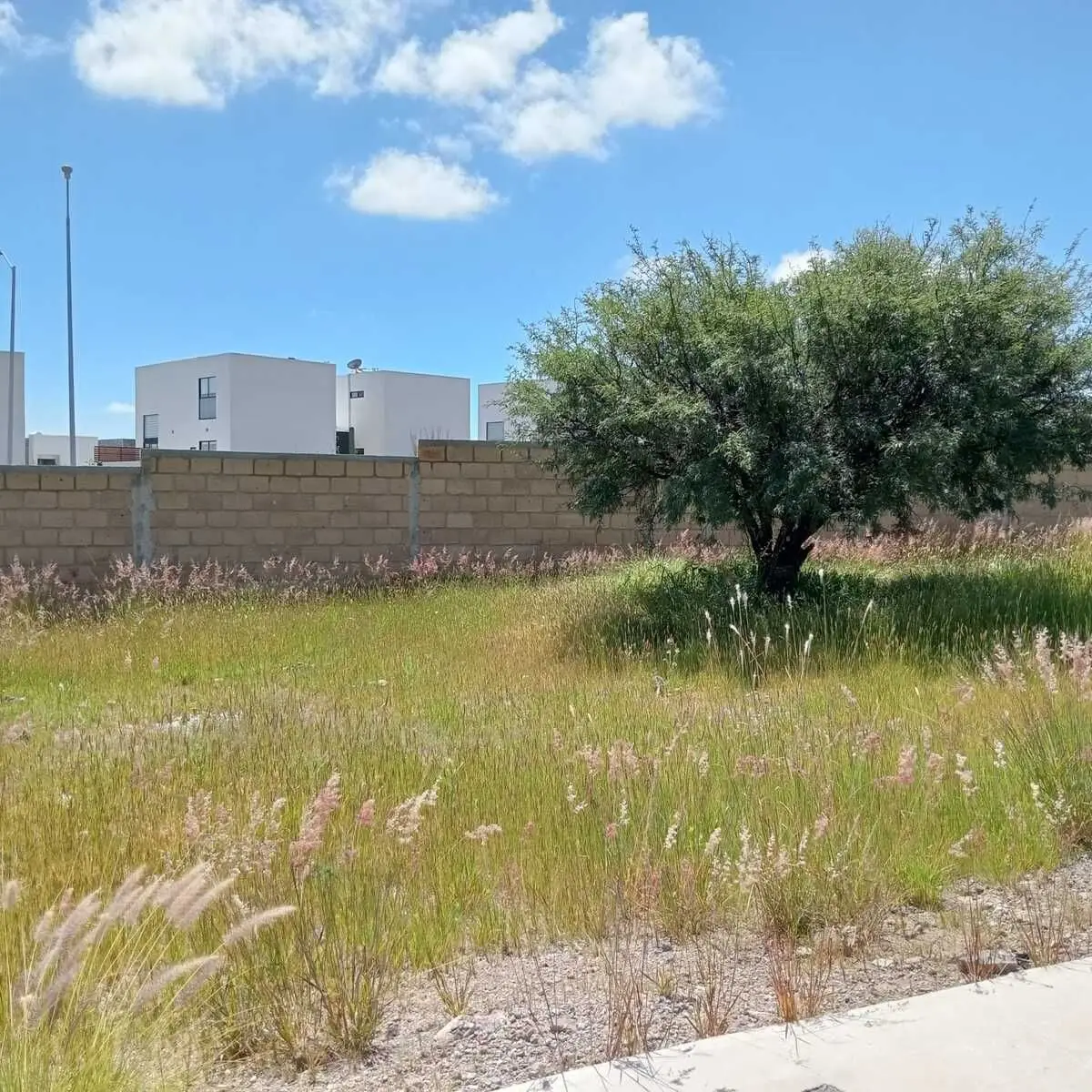 Terreno Habitacional en Venta en San Isidro Juriquilla II – 177 m² Plano — foto 3