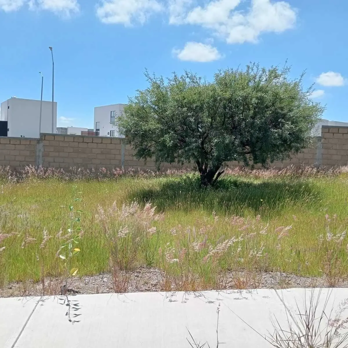 Terreno Habitacional en Venta en San Isidro Juriquilla II – 177 m² Plano — foto 4