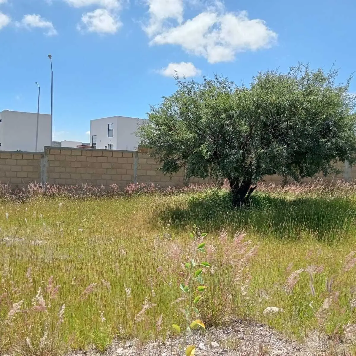 Terreno Habitacional en Venta en San Isidro Juriquilla II – 177 m² Plano — foto 5