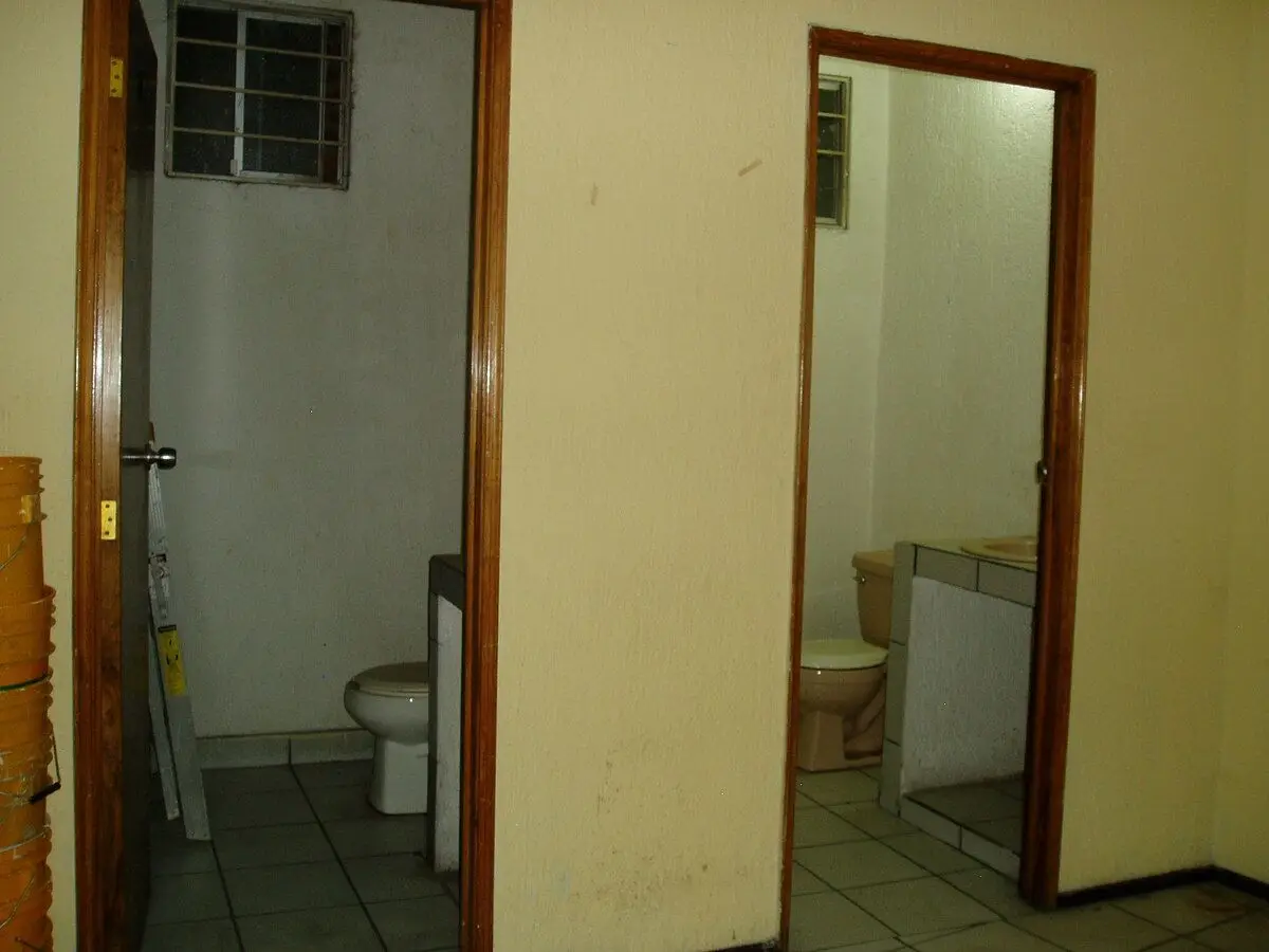 Oficina en Renta Ciudad de México, Miguel Hidalgo, Popotla — foto 3