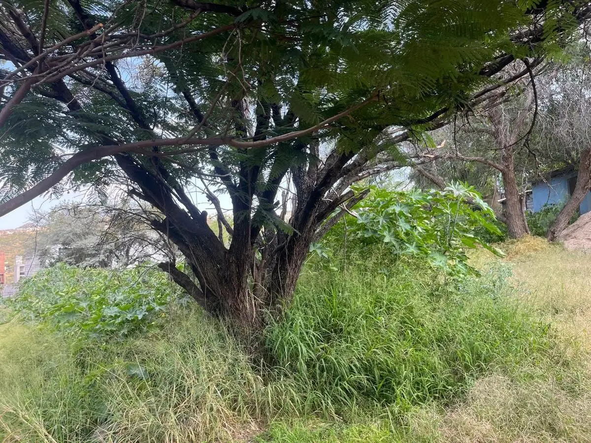 Terreno en venta en Querétaro, Corregidora, Colinas del Bosque — foto 5