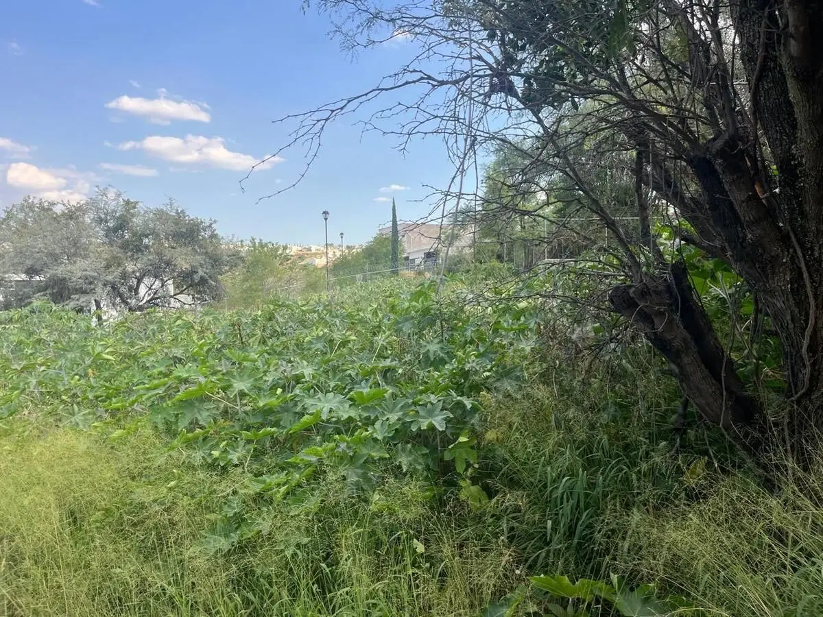 Terreno en venta en Querétaro, Corregidora, Colinas del Bosque — foto 6