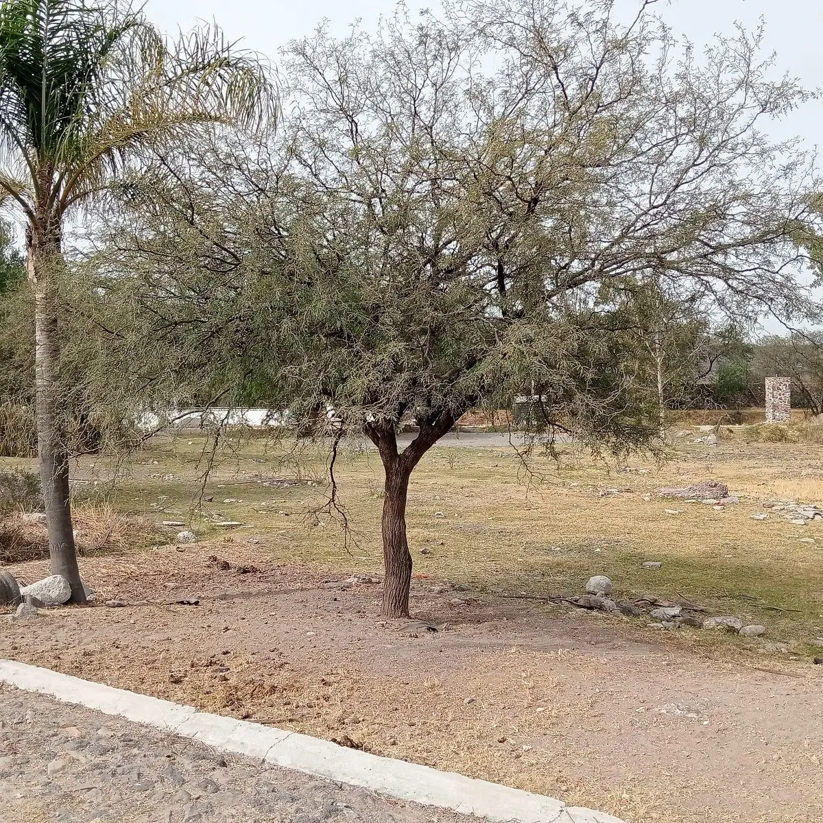 Terreno en Venta, Rancho La Pitaya — foto 3