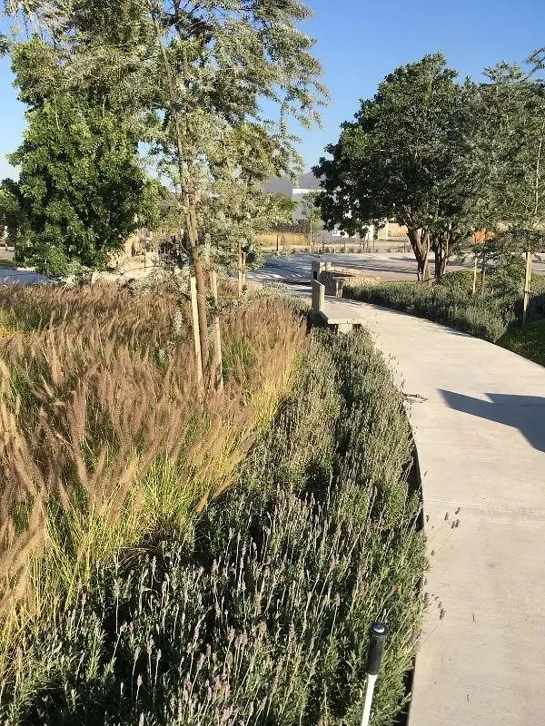 Terreno en venta en Cañadas del Arroyo, Corregidora, Querétaro — foto 3