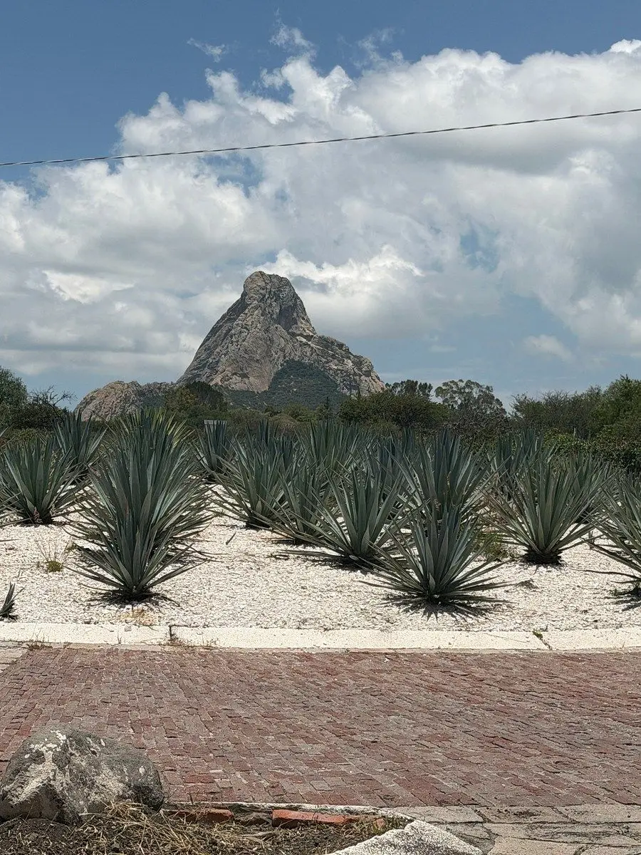 Alrededores de Peña de Bernal, terrenos desde 500m2 en venta Querétaro, Ezequiel — foto 3
