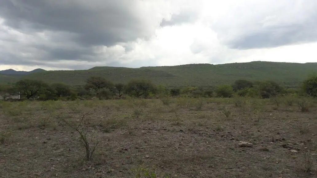 Oportunidad Terreno Campestre — foto 4