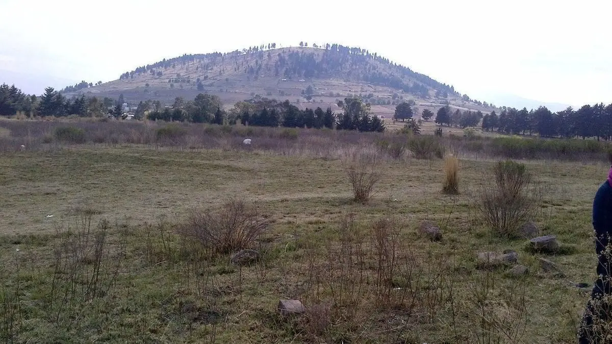 Terreno para desarrollo en Almoloya de Juárez. — foto 5