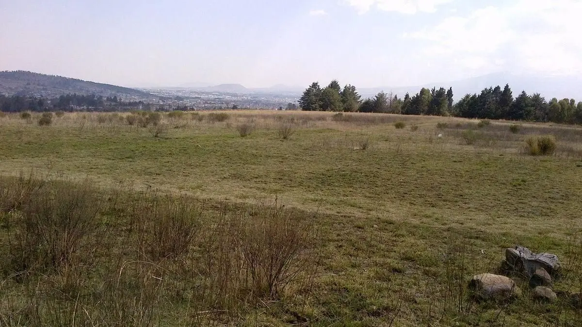 Terreno para desarrollo en Almoloya de Juárez. — foto 6