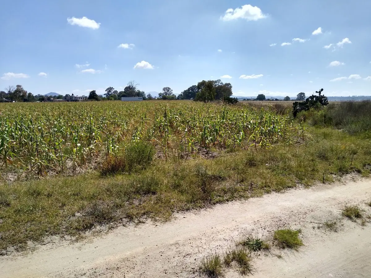 Venta de Terreno Industrial 32,ooo M2 Polotitlan Estado de México — foto 2