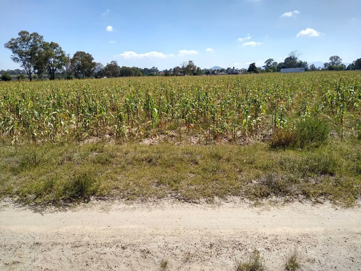 Venta de Terreno Industrial 32,ooo M2 Polotitlan Estado de México — foto 3