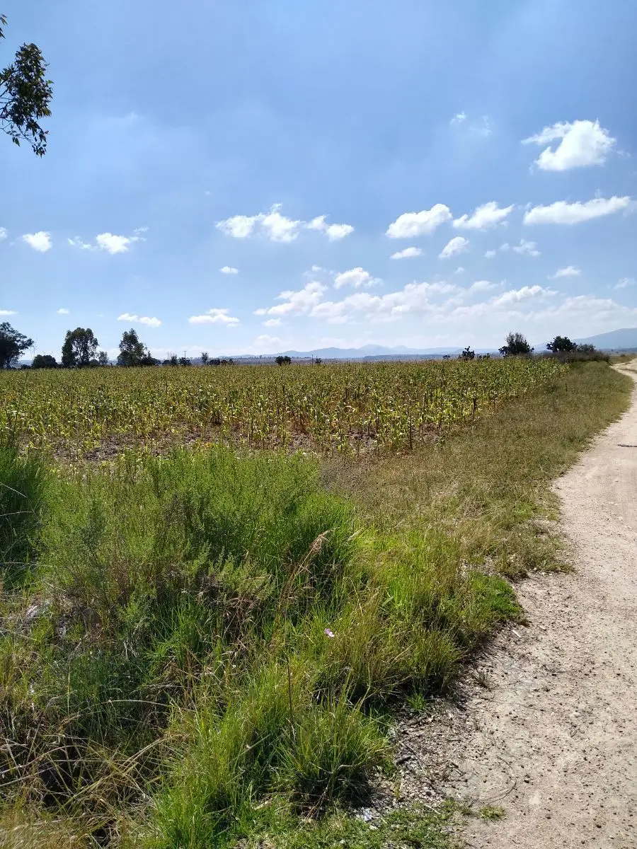 Venta de Terreno Industrial 32,ooo M2 Polotitlan Estado de México — foto 4