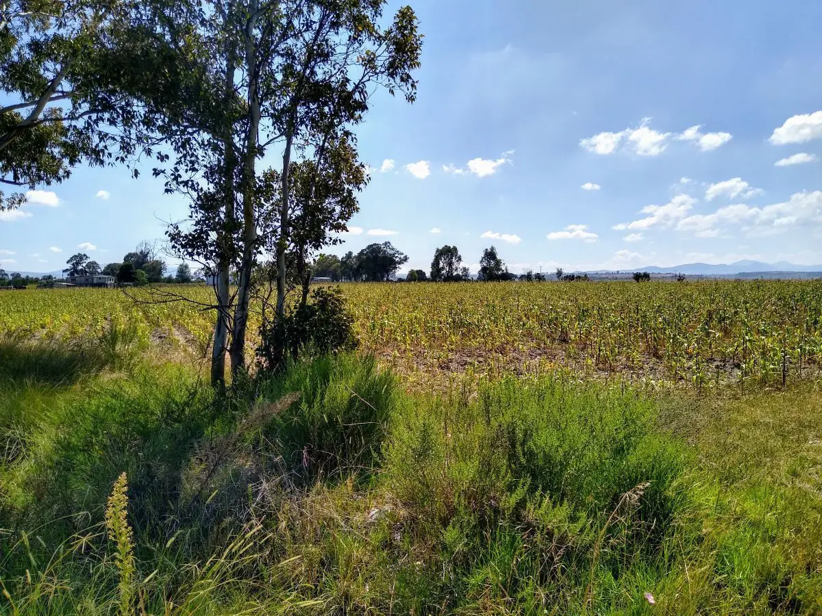 Venta de Terreno Industrial 32,ooo M2 Polotitlan Estado de México — foto 5