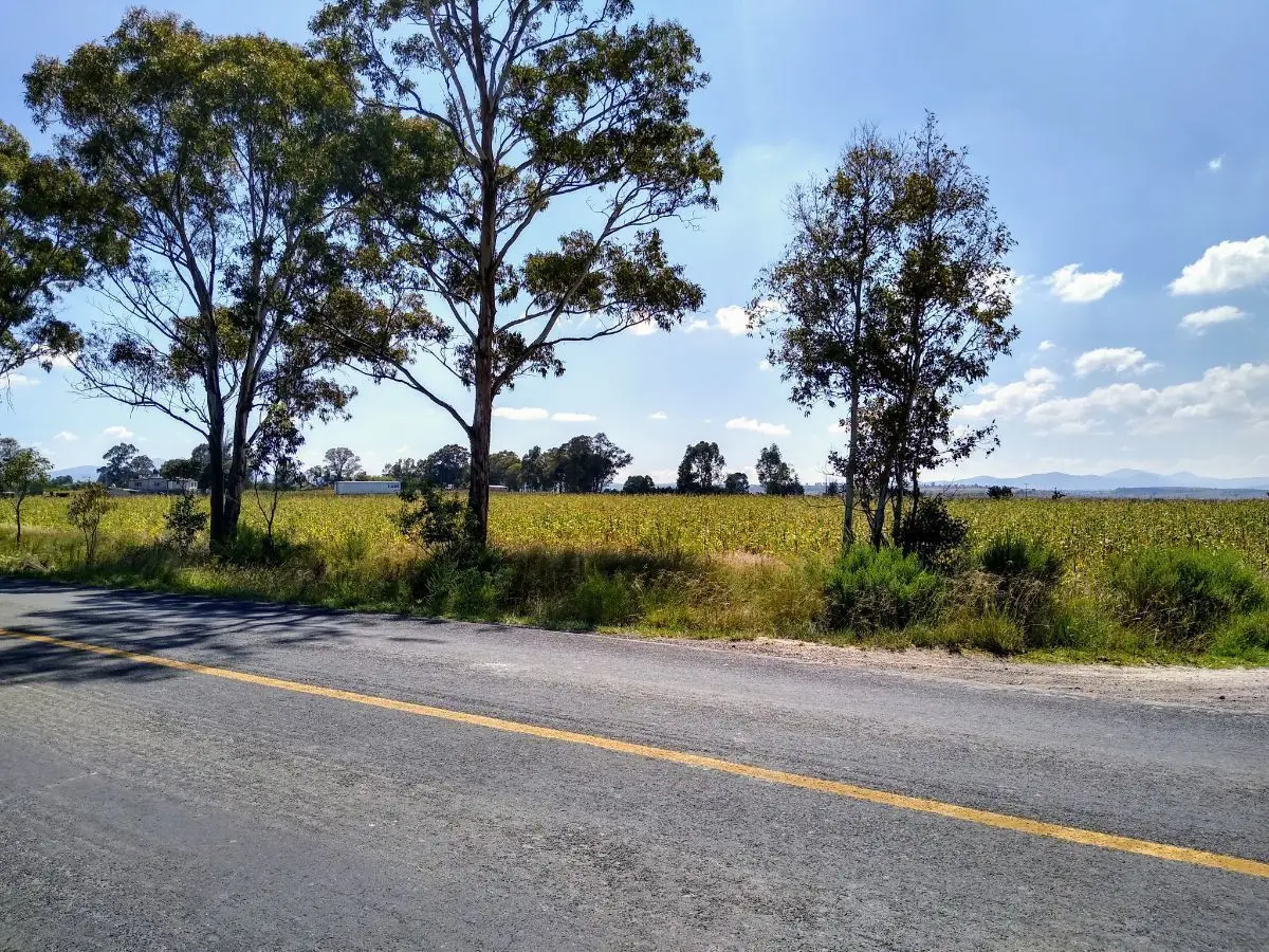 Venta de Terreno Industrial 32,ooo M2 Polotitlan Estado de México — foto 6