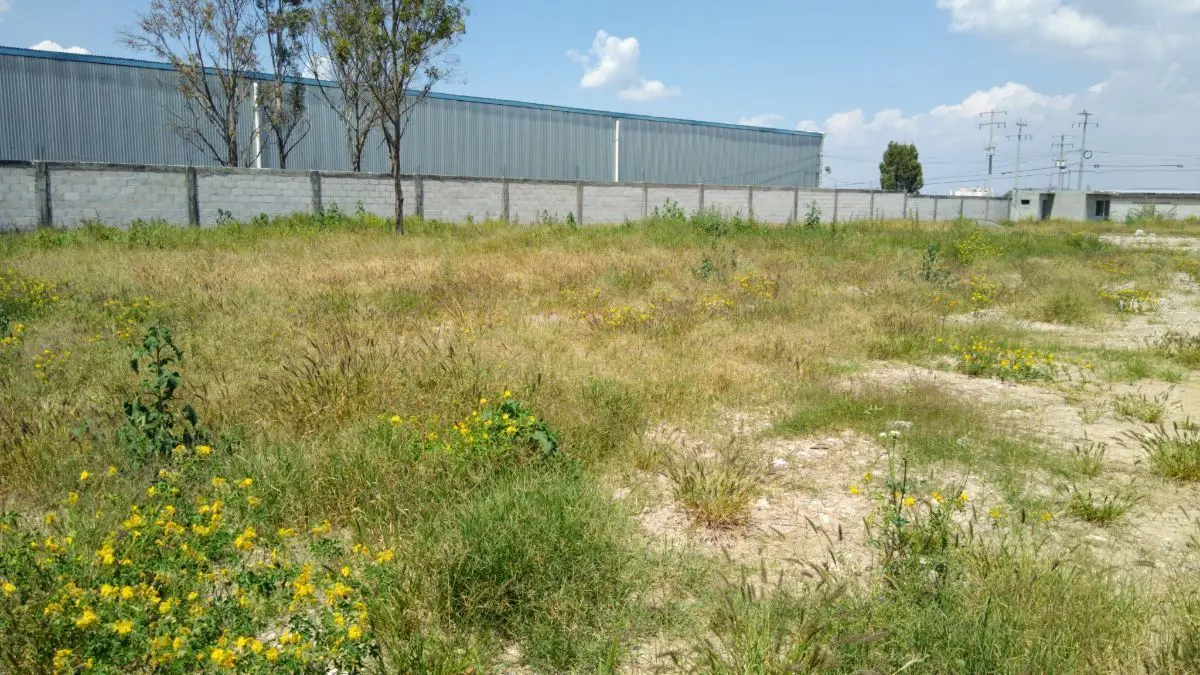 Renta de Terreno Industrial de San Juan del Rio, Qro. — foto 3