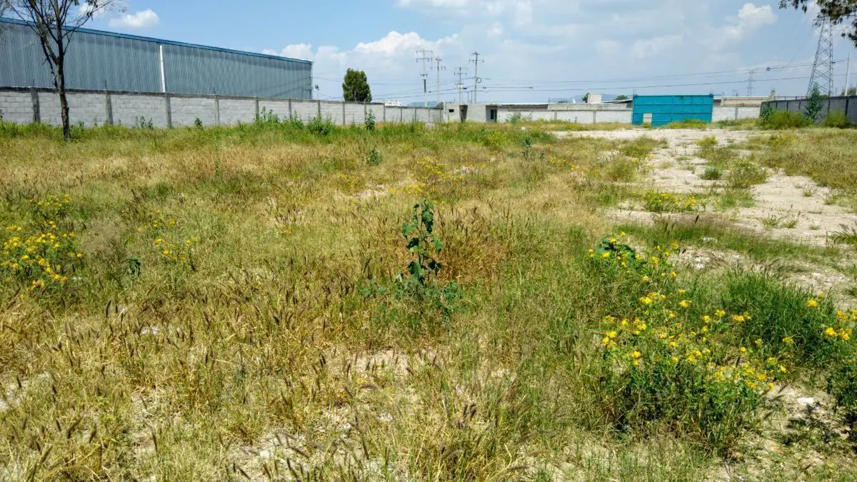 Renta de Terreno Industrial de San Juan del Rio, Qro. — foto 5