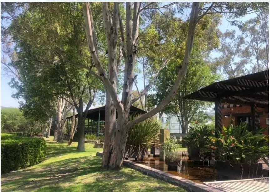 Terreno de oportunidad — foto 2