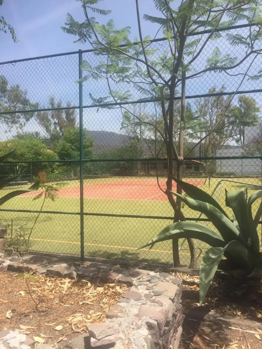 Terreno de oportunidad — foto 6