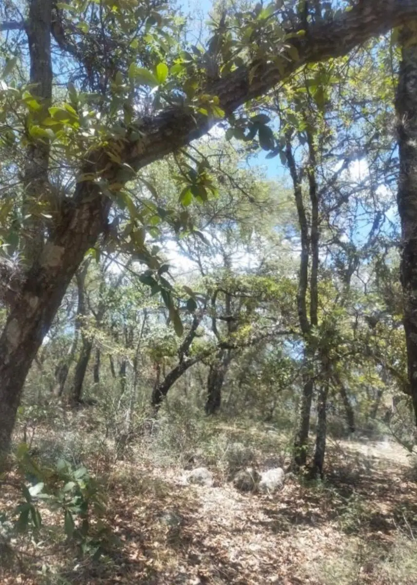 Venta de Terreno Campestre, Santa Teresa, Huimilpan, Queretaro, Qro. — foto 2