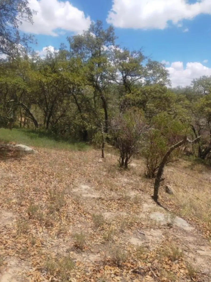 Venta de Terreno Campestre, Santa Teresa, Huimilpan, Queretaro, Qro. — foto 3