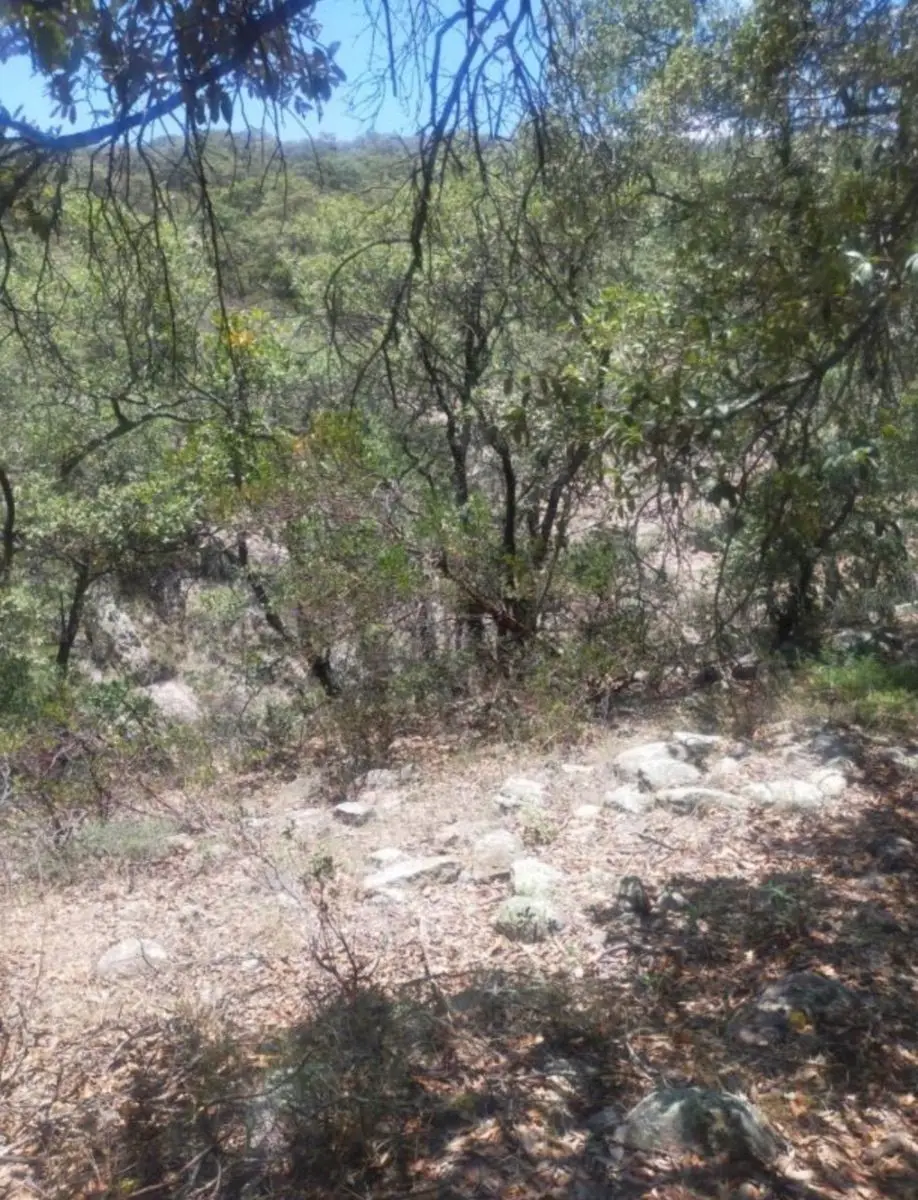 Venta de Terreno Campestre, Santa Teresa, Huimilpan, Queretaro, Qro. — foto 4