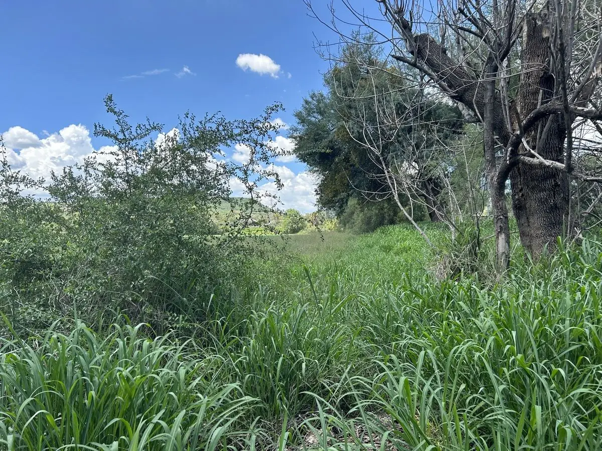 Venta Terreno Industrial — foto 6