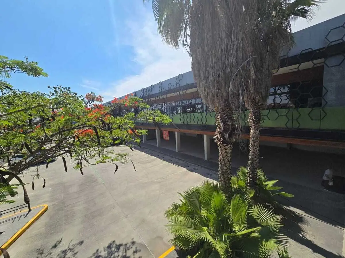Excelente local en renta en Irapuato, ideal para concesionaria — foto 6