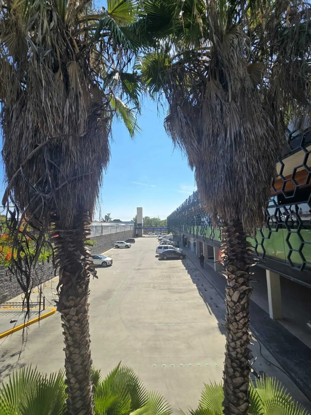 Local en renta en Irapuato, listo para consultorio o clínica. — foto 6