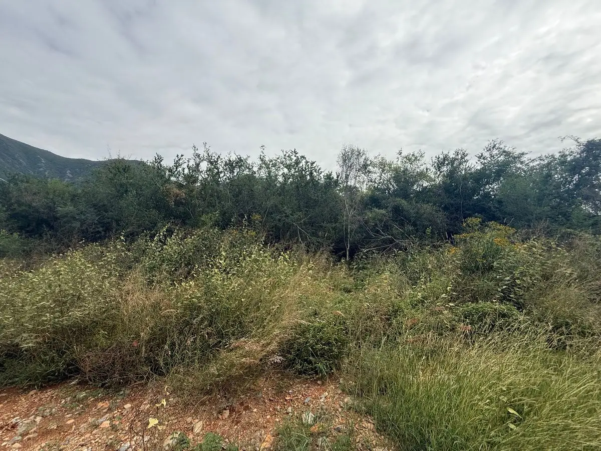 Terreno en VENTA Zona Carr Nacional Yerbaniz Santiago Monterrey — foto 5