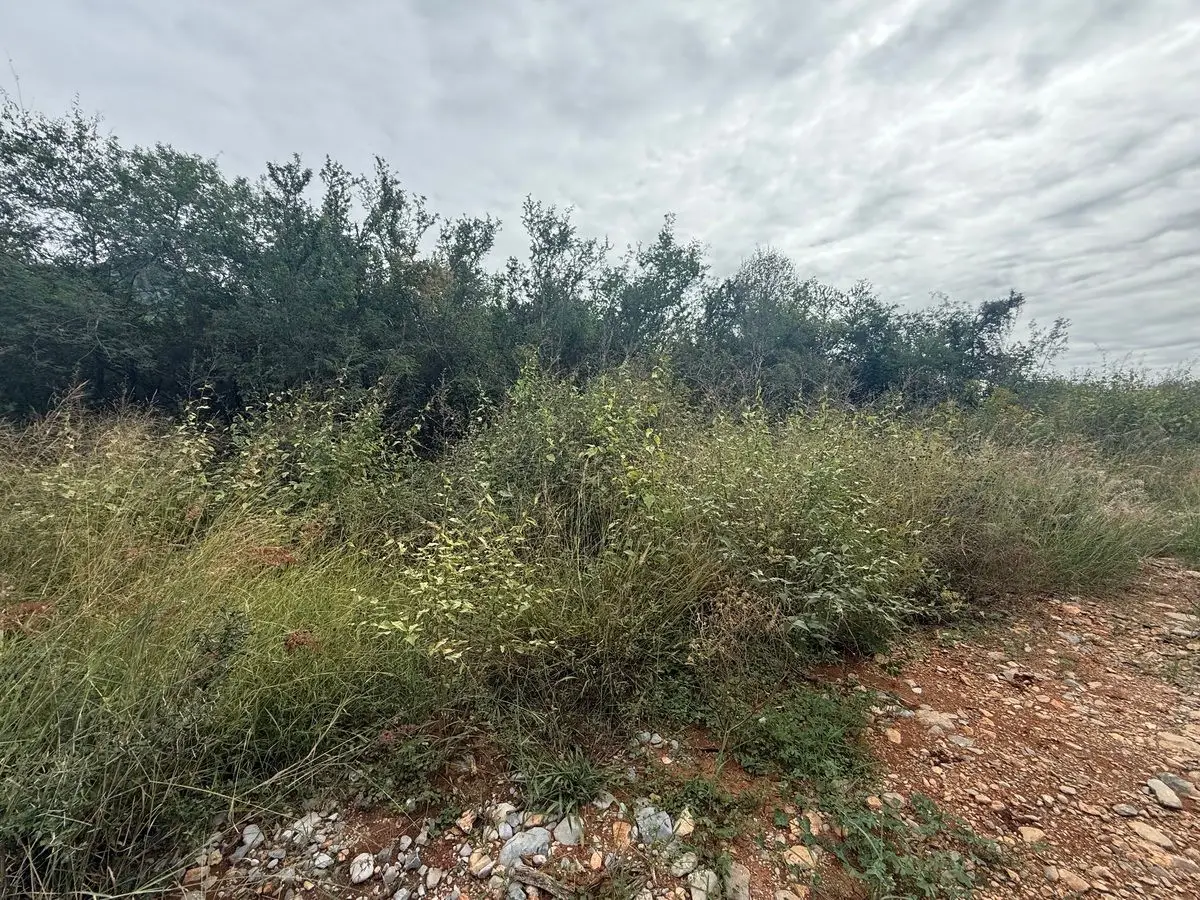 Terreno en VENTA Zona Carr Nacional Yerbaniz Santiago Monterrey — foto 6