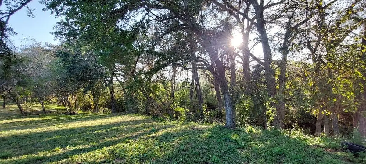 Terreno Campestre Plano en VENTA con Colindancia al Río -Los Sabinos, Allende, — foto 5
