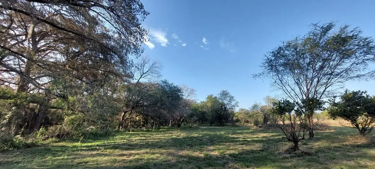 Terreno Campestre Plano en VENTA con Colindancia al Río -Los Sabinos, Allende, — foto 6