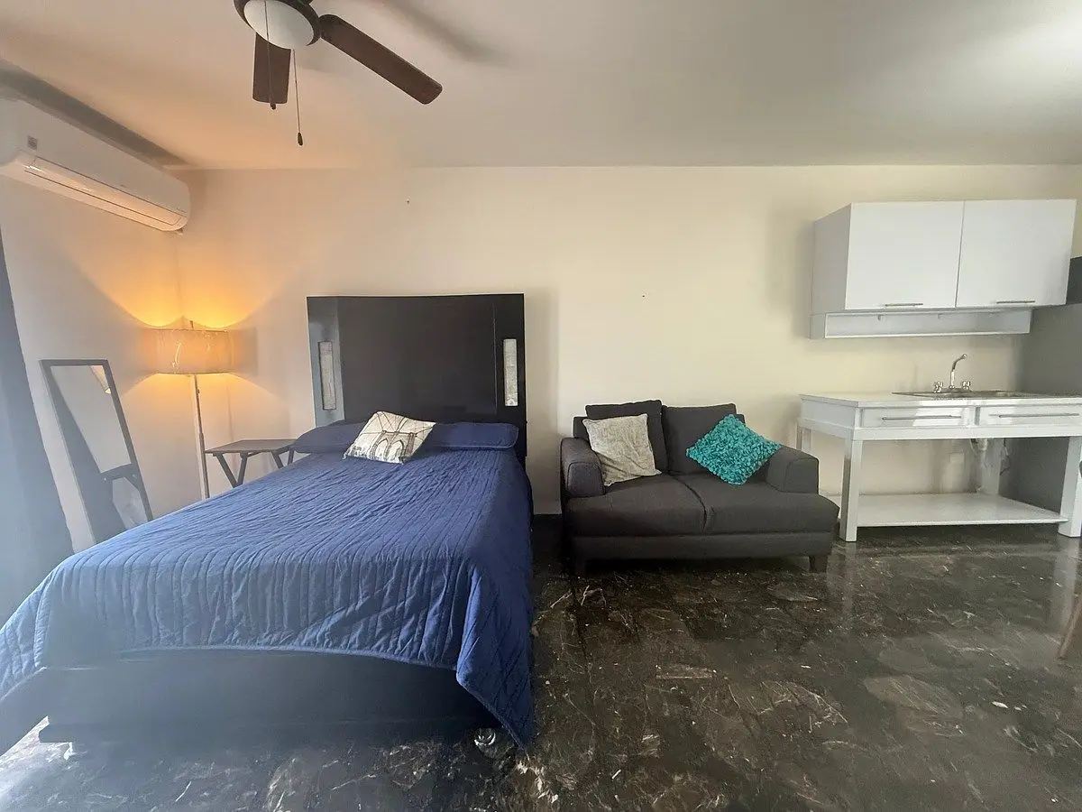 Departamento loft en renta amueblado y equipado Fuentes del Valle San Pedro — foto 3
