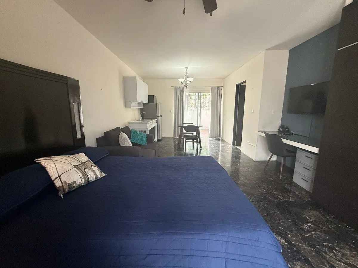 Departamento loft en renta amueblado y equipado Fuentes del Valle San Pedro — foto 6