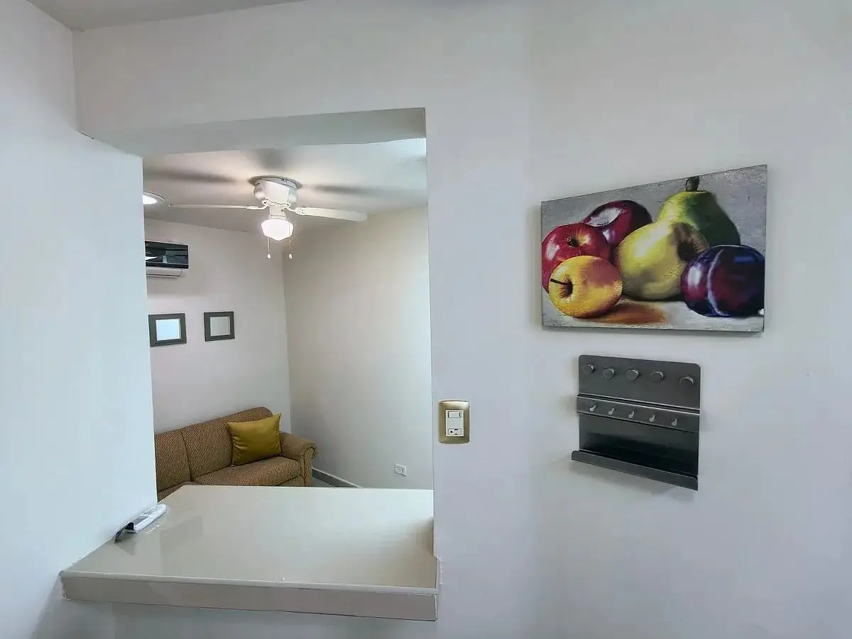 Departamento en RENTA Amueblado Planta baja Vista Hermosa Monterrey — foto 3