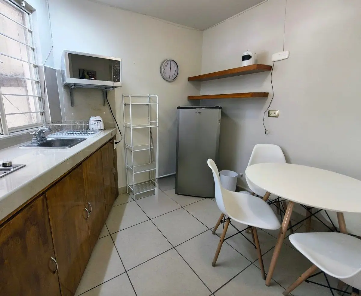 Departamento en RENTA Amueblado Planta baja Vista Hermosa Monterrey — foto 4