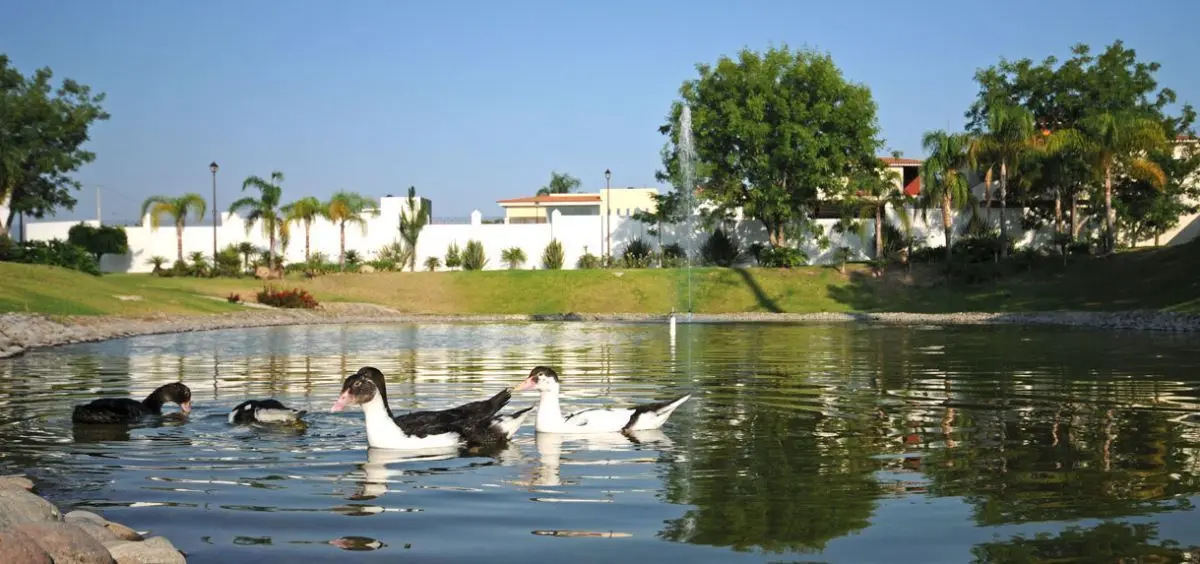 Se vende Terreno en Casa Fuerte cerca de Punto Sur — foto 7