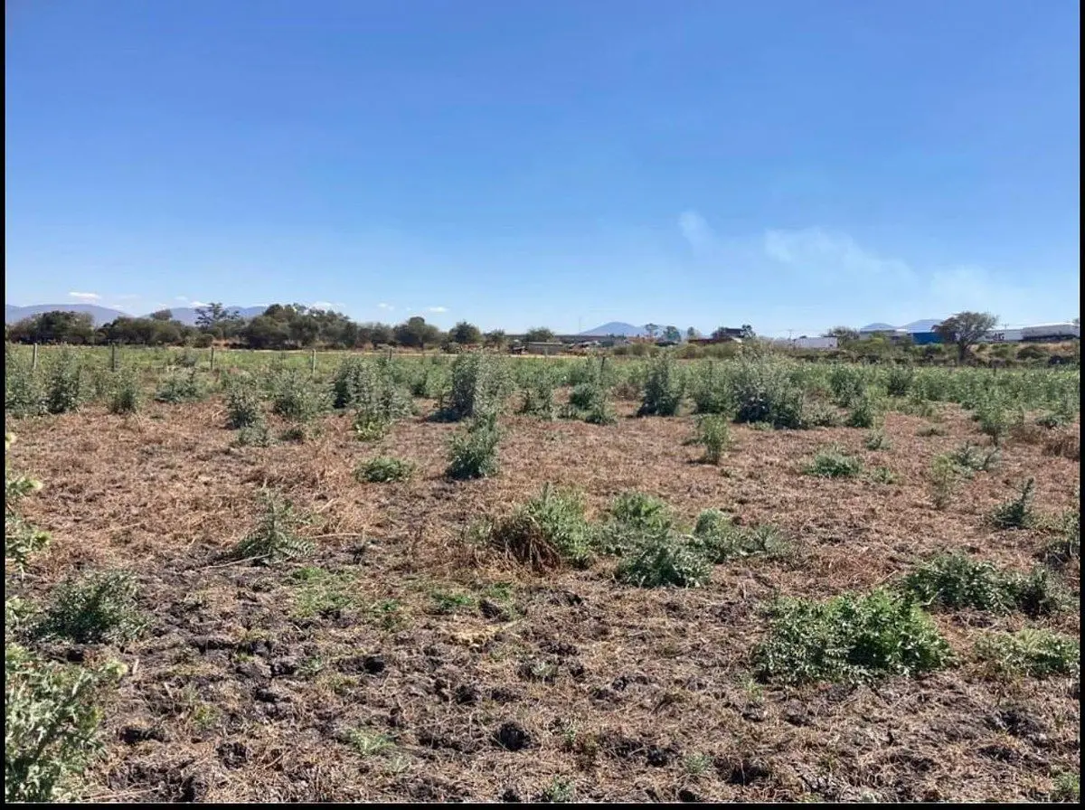 🚛 Terreno Industrial 10,420 m² Junto al Macrolibramiento | Uso Mixto | $890/m² — foto 2