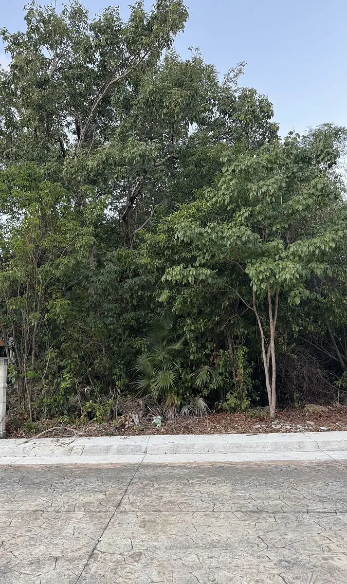 Terreno en Venta en Aldea KA'AN, Pto. Morelos, Q. Roo — foto 4
