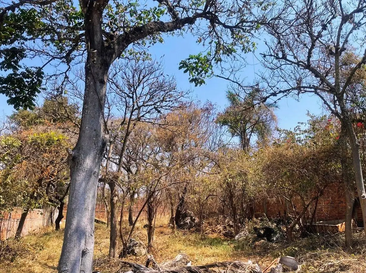 Terreno en venta a pasos de la laguna de Chapala — foto 2