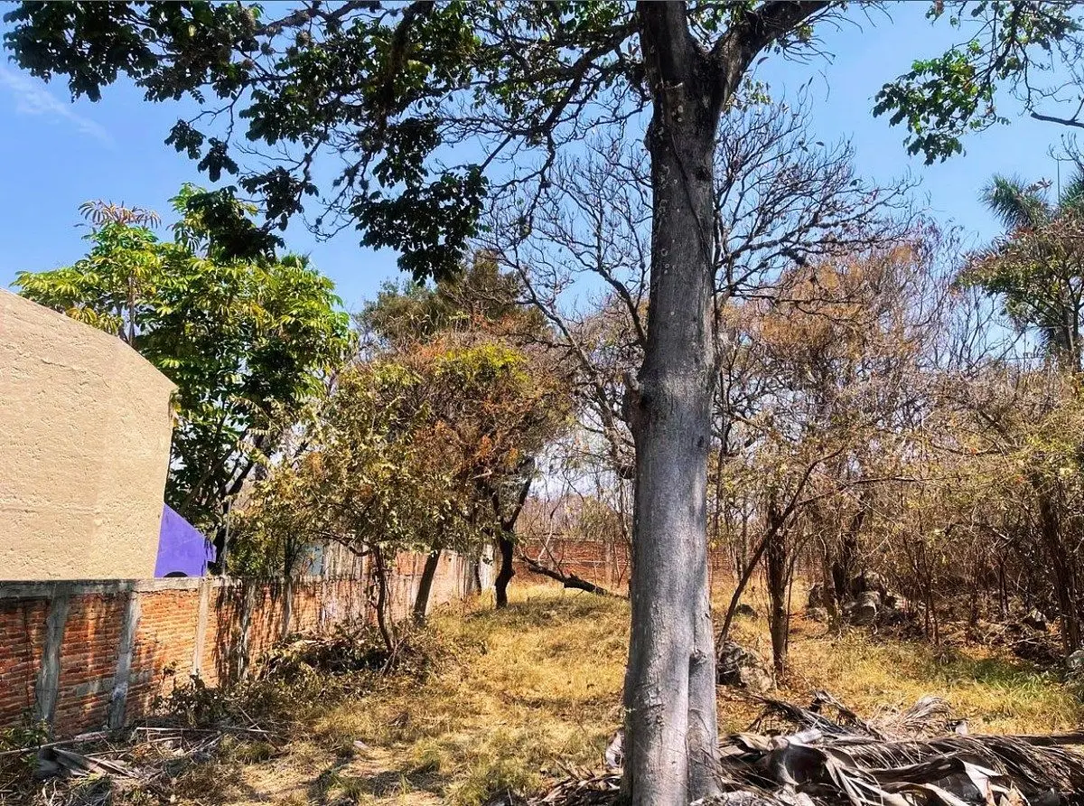 Terreno en venta a pasos de la laguna de Chapala — foto 6