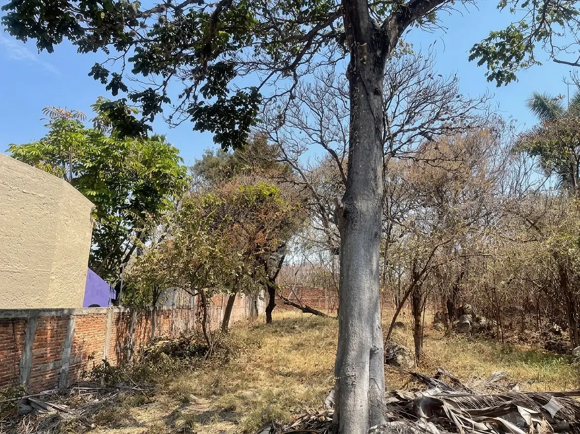 Terreno en venta a pasos de la laguna de Chapala — foto 7