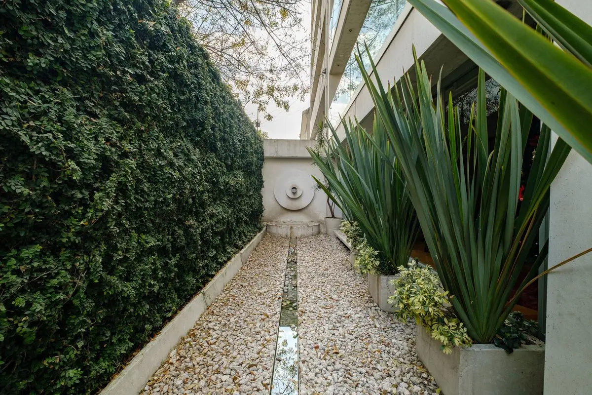 Aristotles, Polanco — foto 5